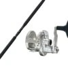 Valiant 500N Plus Fishing Rod And Reel Combo(Valiant 500n Plus Combo) 2 Valiant 500N Plus Fishing Rod And Reel Combo(Valiant 500n Plus Combo) -Accurate Fishing Shop bv2 500np combo