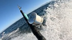 Tern2 Fishing Reel(Tern2 Fishing Reel) 25 Tern2 Fishing Reel(Tern2 Fishing Reel) -Accurate Fishing Shop txd lifestyle 2